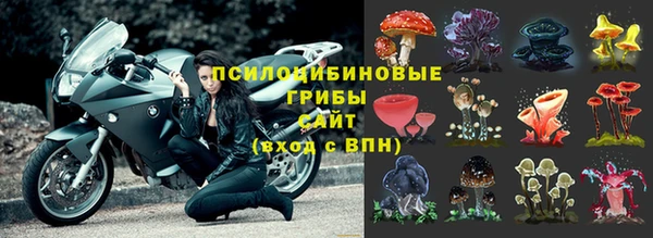 ГАЛЛЮЦИНОГЕННЫЕ ГРИБЫ Абинск