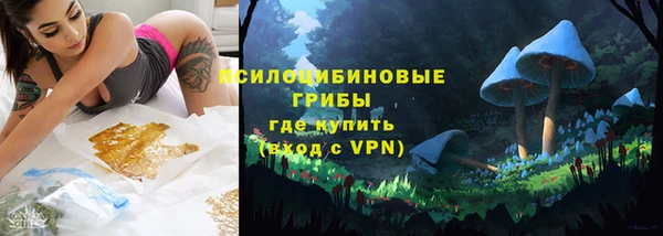 ГАЛЛЮЦИНОГЕННЫЕ ГРИБЫ Абинск