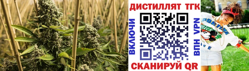 Дистиллят ТГК концентрат  Нариманов 