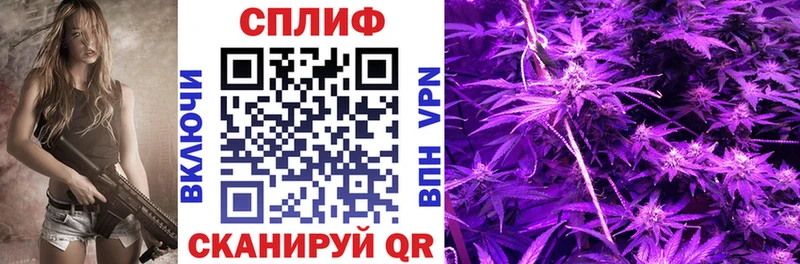 купить наркотик Нариманов Бошки марихуана планчик